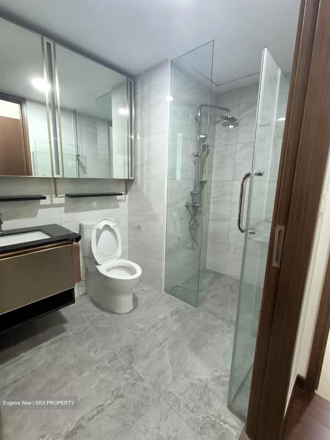 Normanton Park (D5), Apartment #532456791